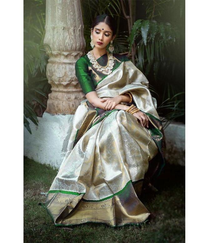 Soft Silk 3045 Festive Wear Wholesale Designer Sarees Catalog